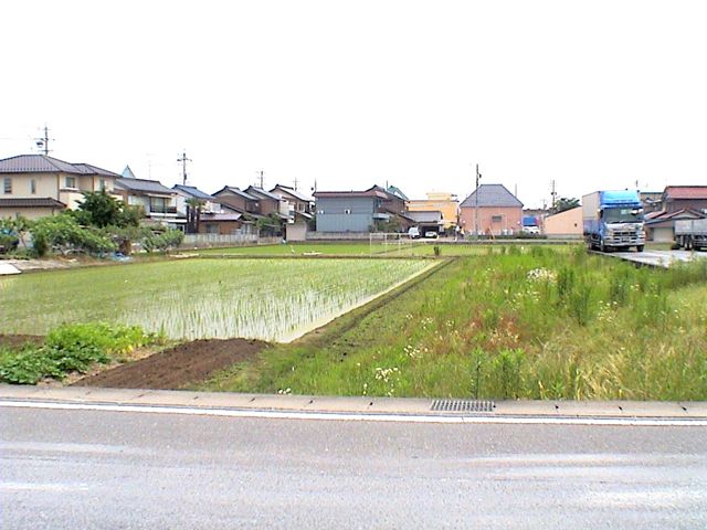 photo ogaki rice fields